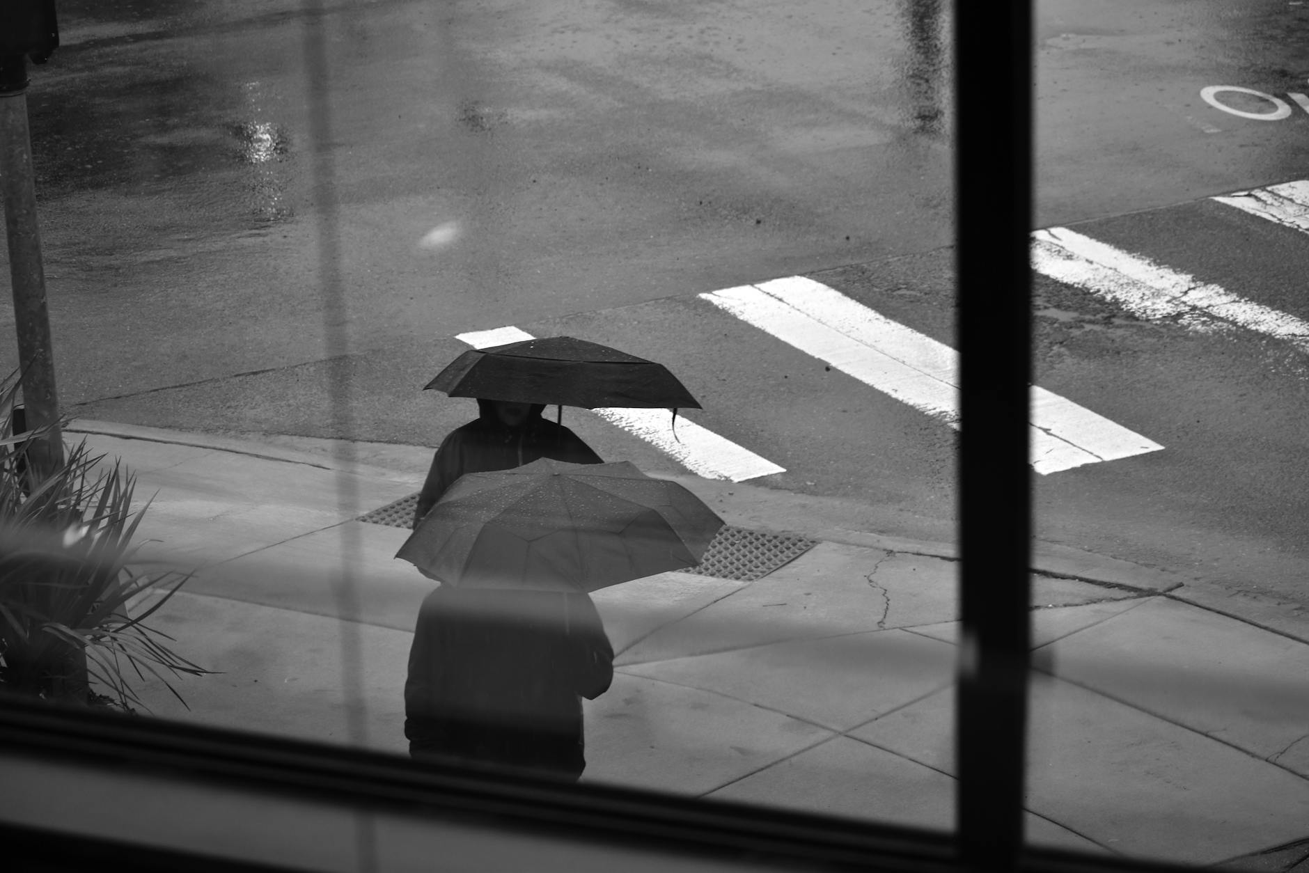 Rainy Vancouver street with umbrellas