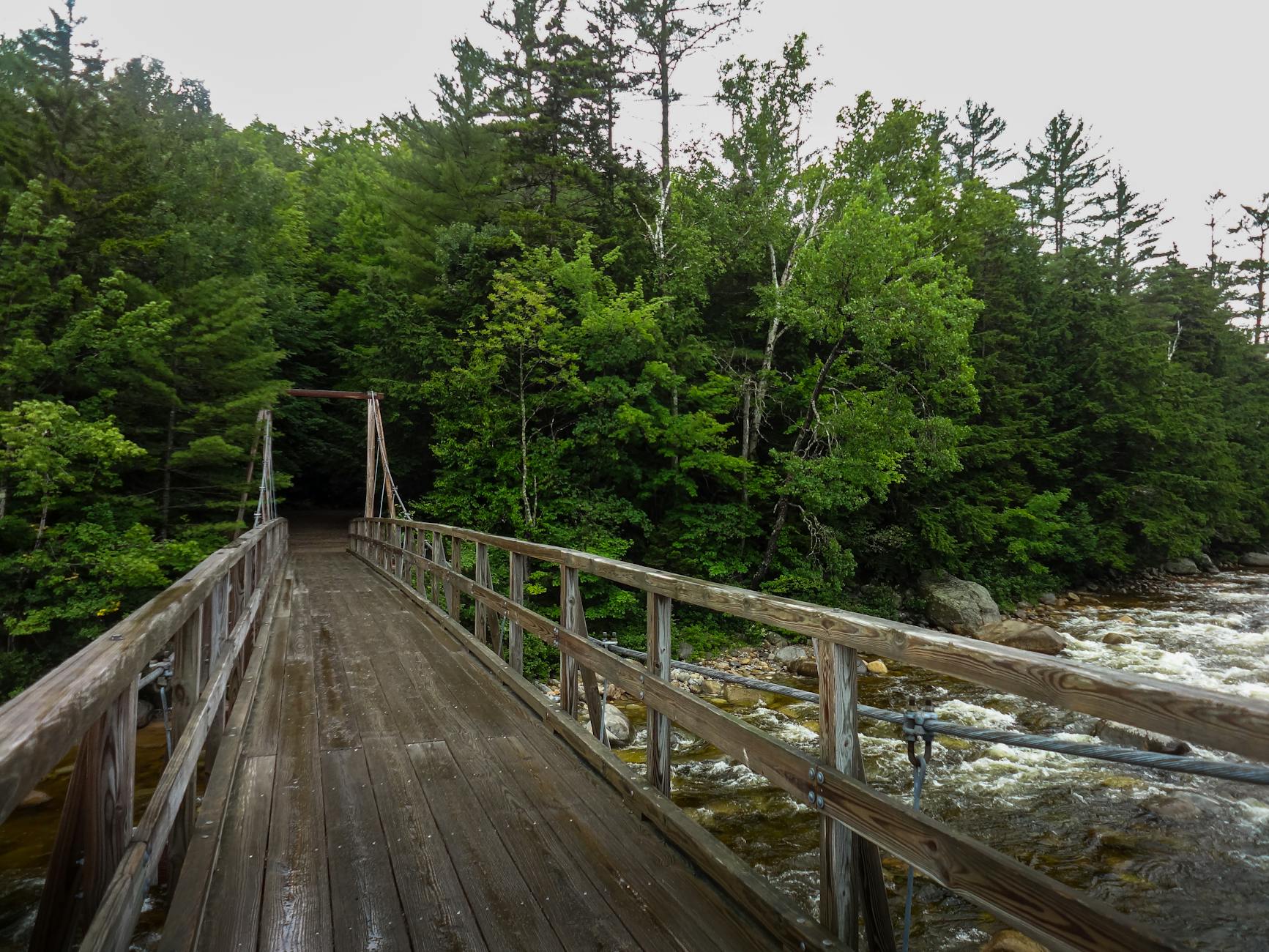 North Shore mountain forest bridge