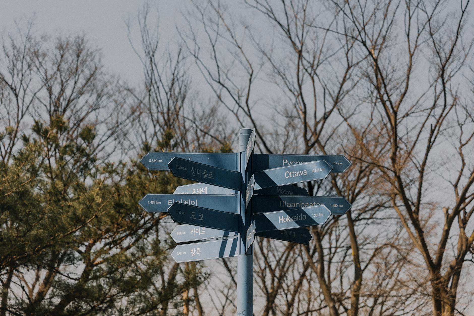 Multiple paths choices travel decisions