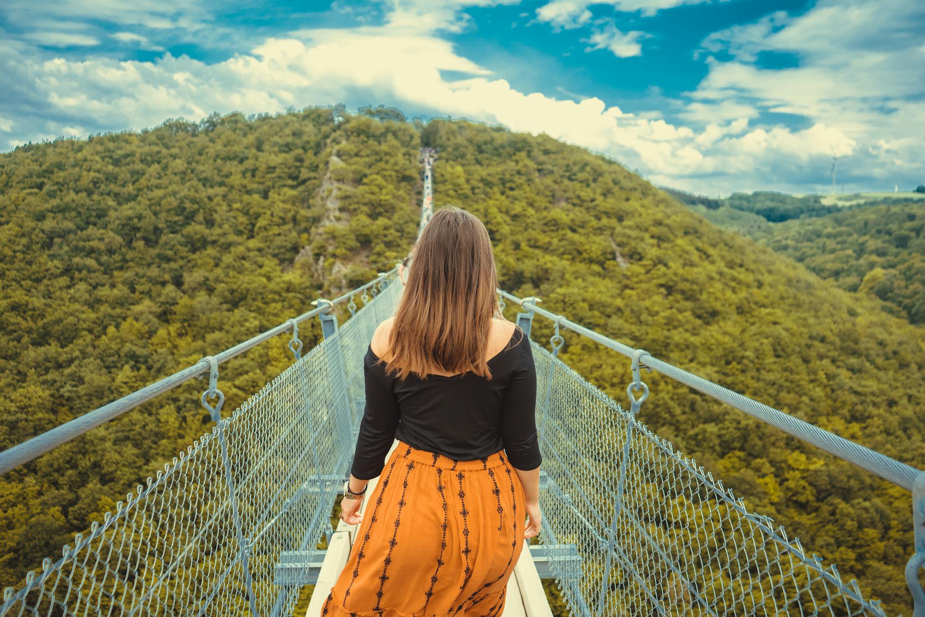 Treetop walk among tall forest canopy