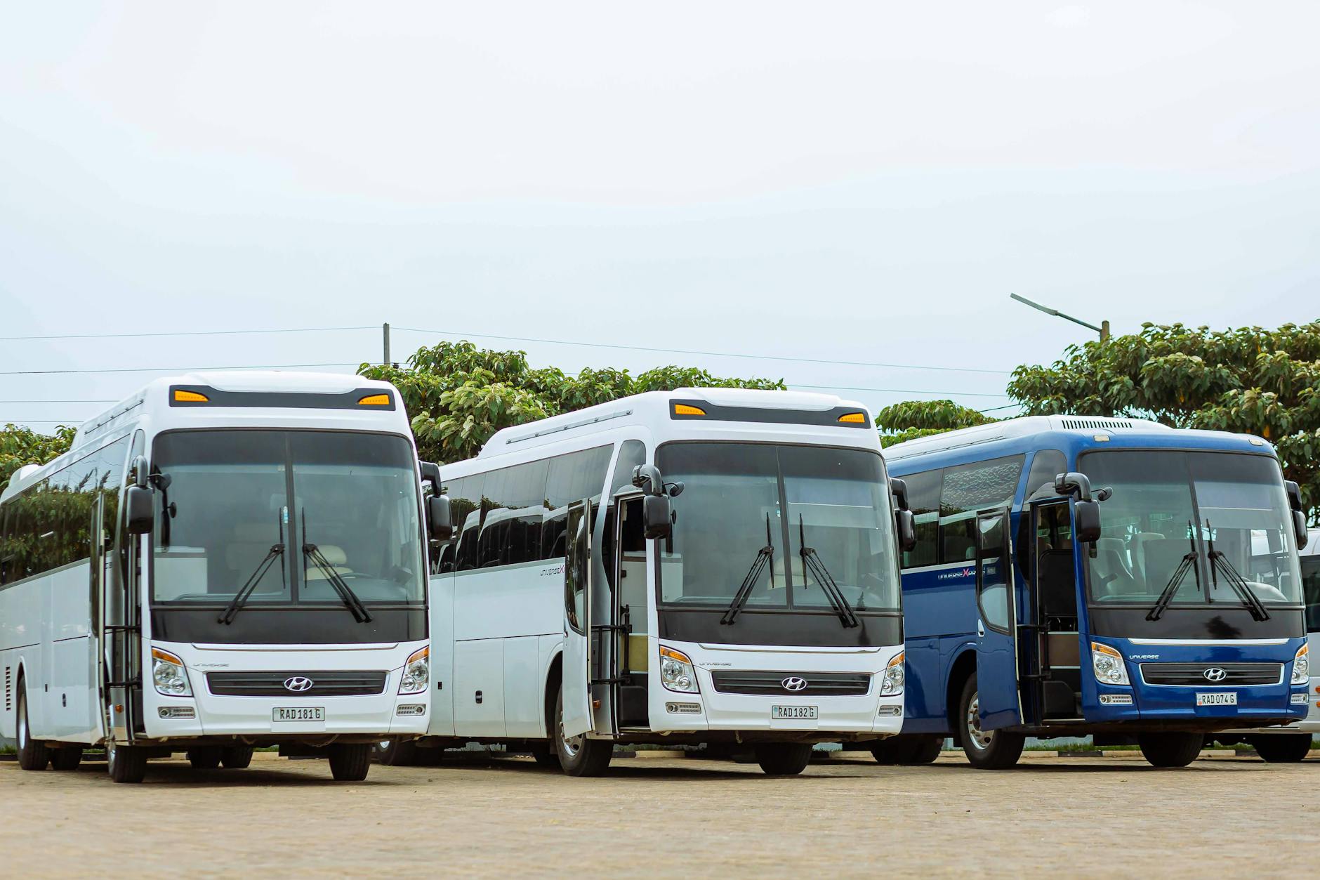 Tour coach bus group excursion