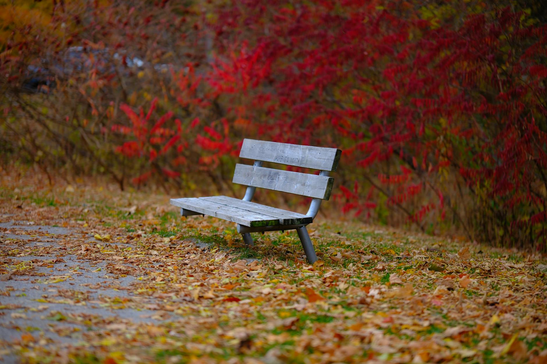 Fall Overview