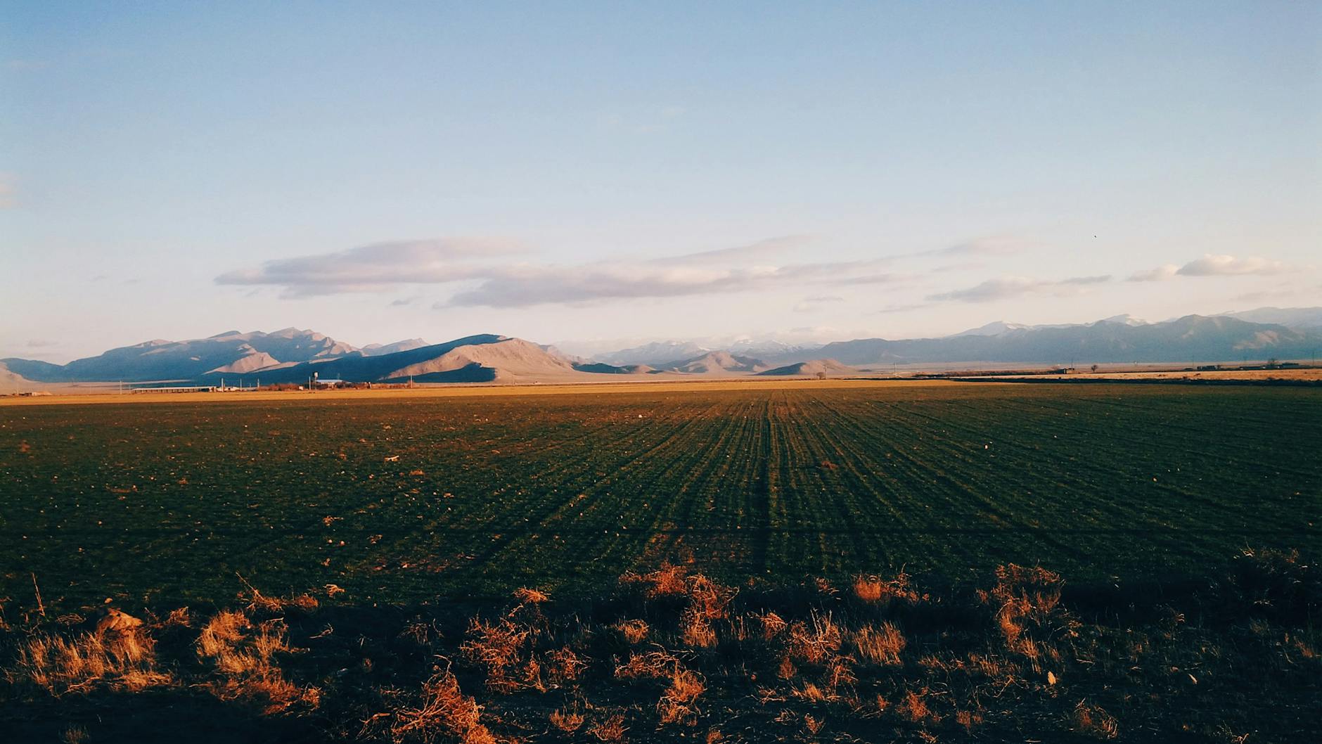 Fraser Valley farm fields with mountains