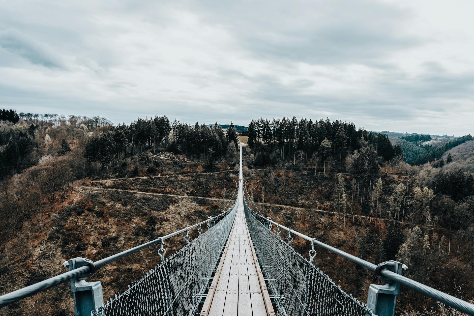 Lynn Canyon free suspension bridge forest
