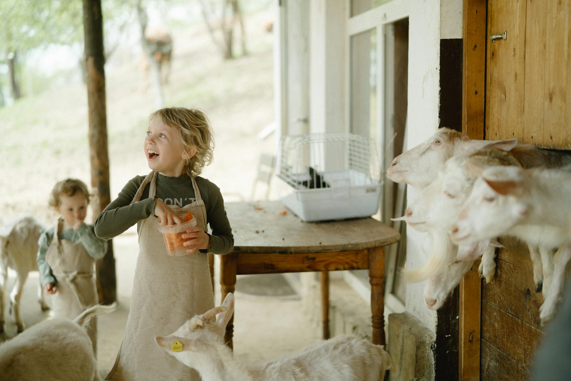Children with farm animals at petting zoo