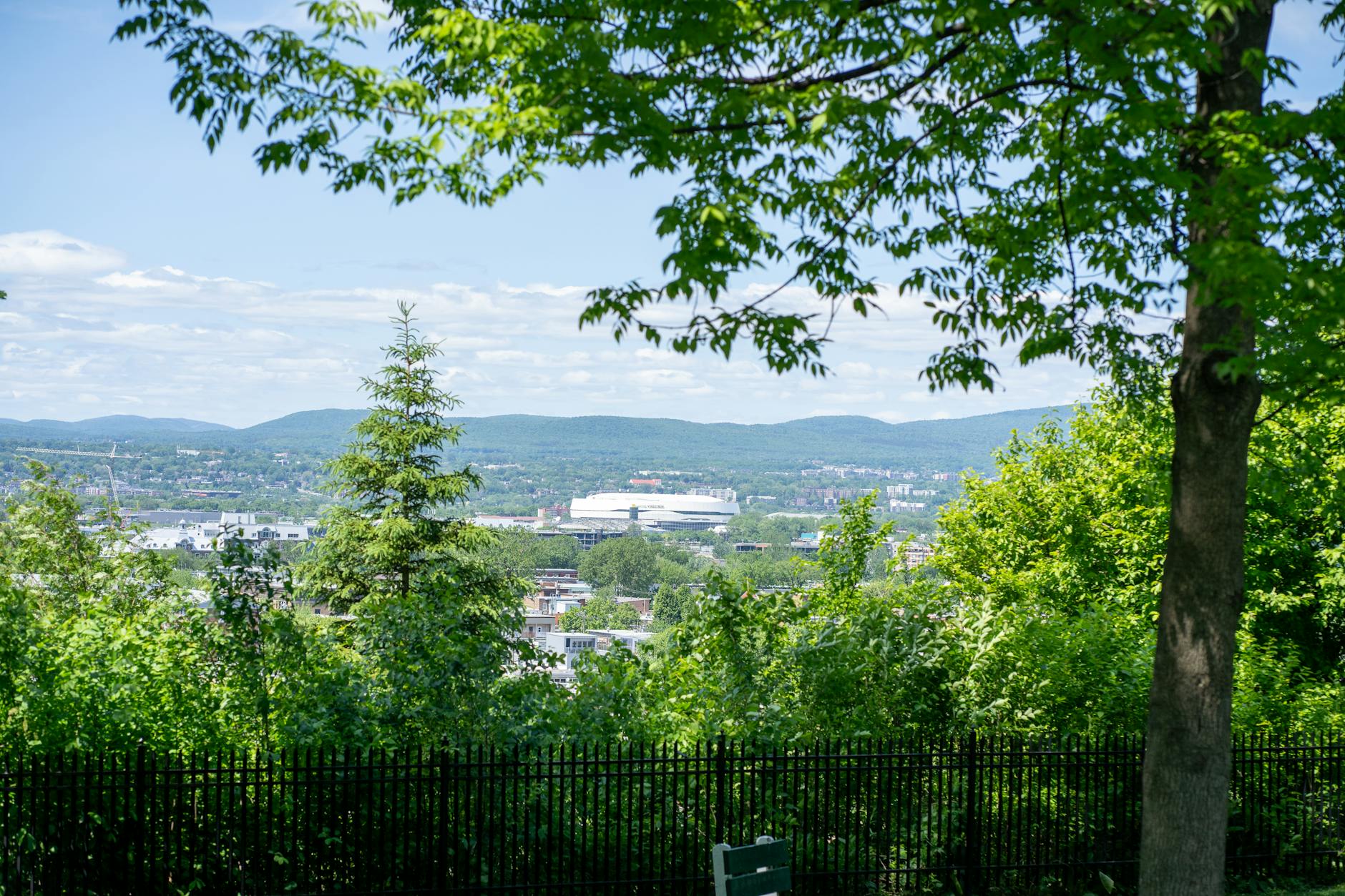 Queen Elizabeth Park viewpoint panorama