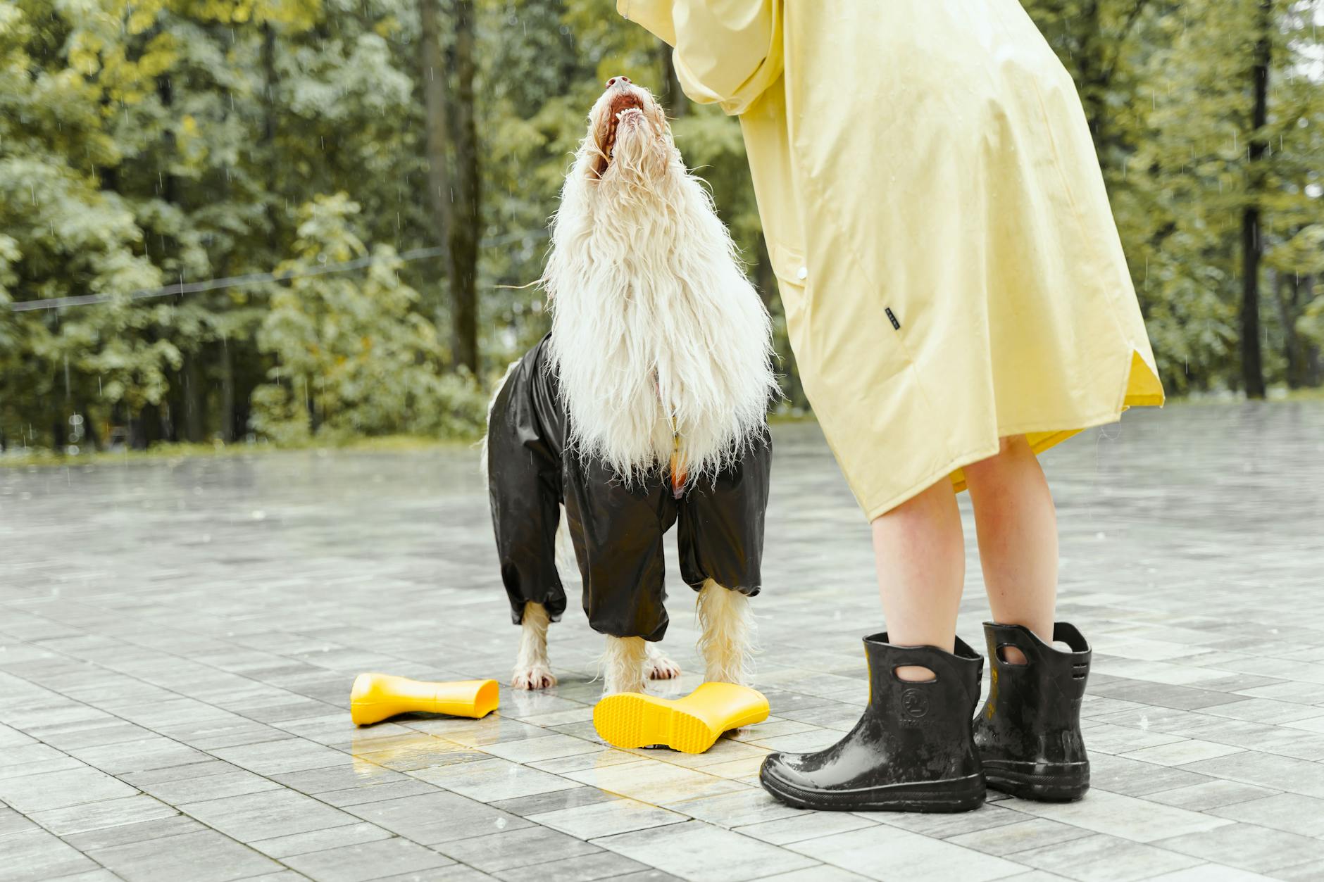 Raincoat umbrella waterproof boots