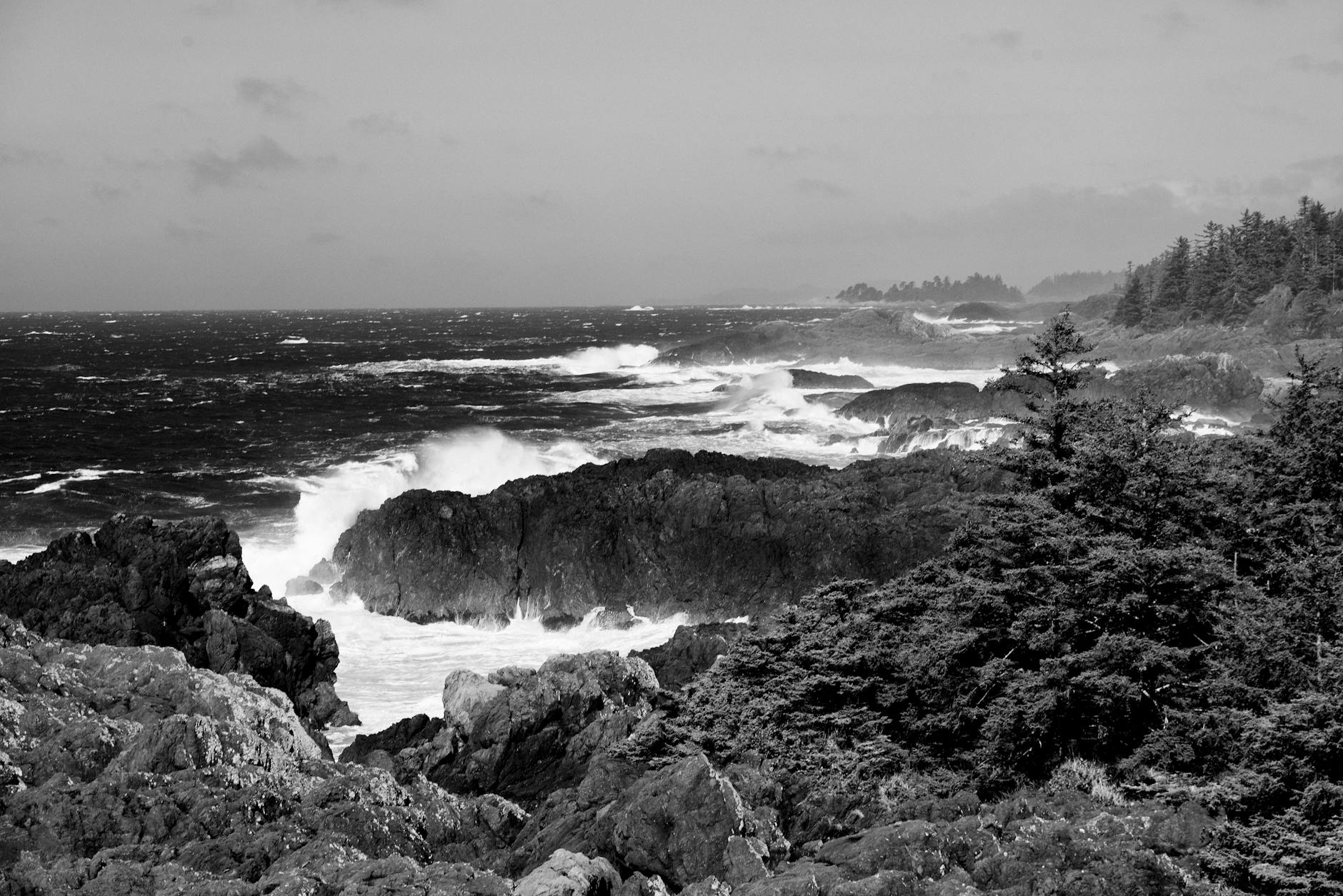 Tofino storm Pacific waves rocks