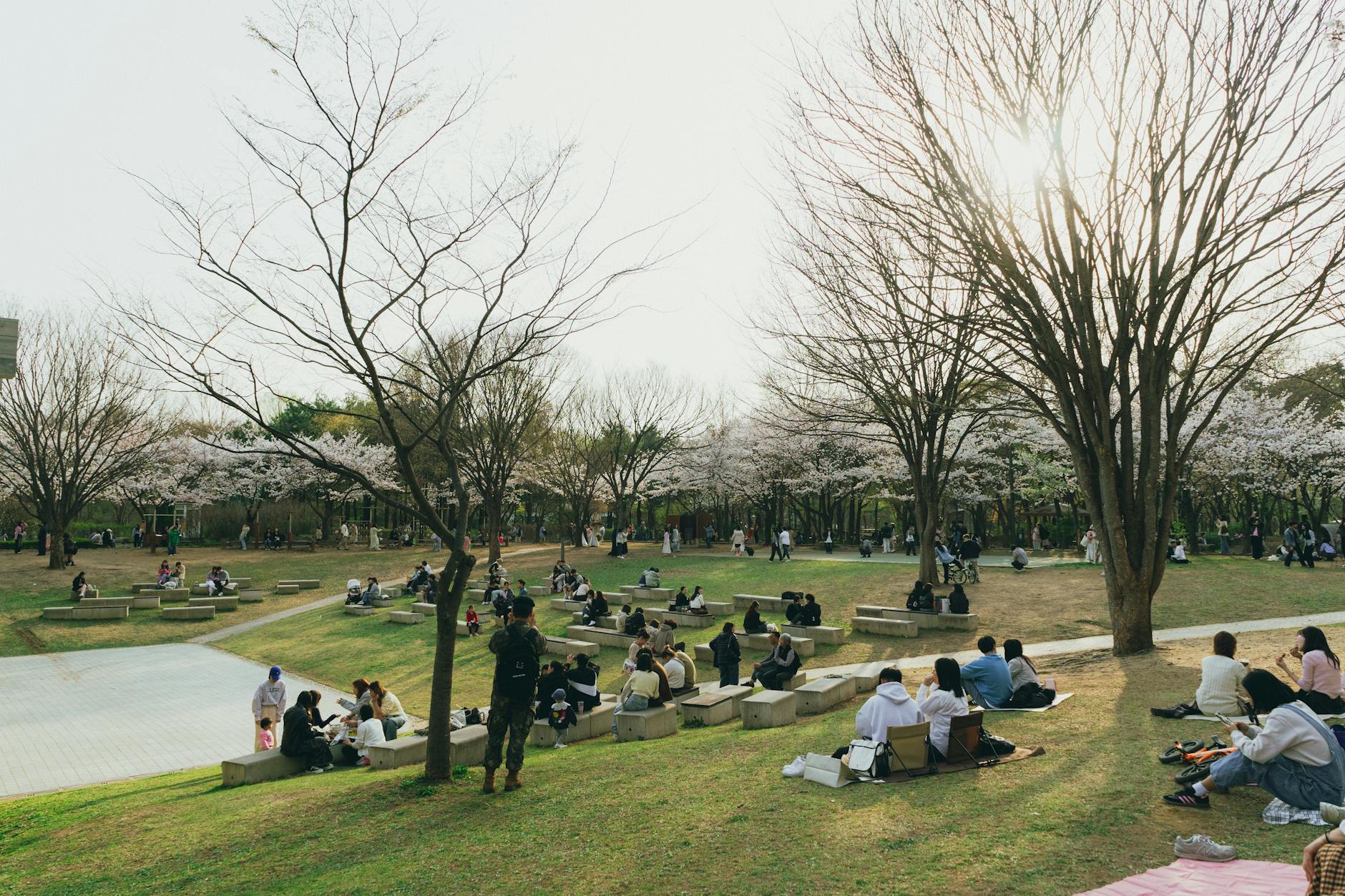 Spring Festivals