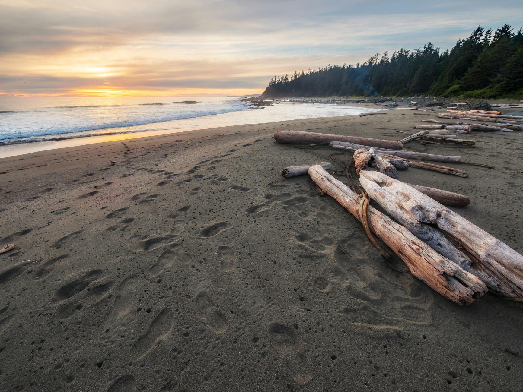 Pacific Northwest beach at sunset with driftwood