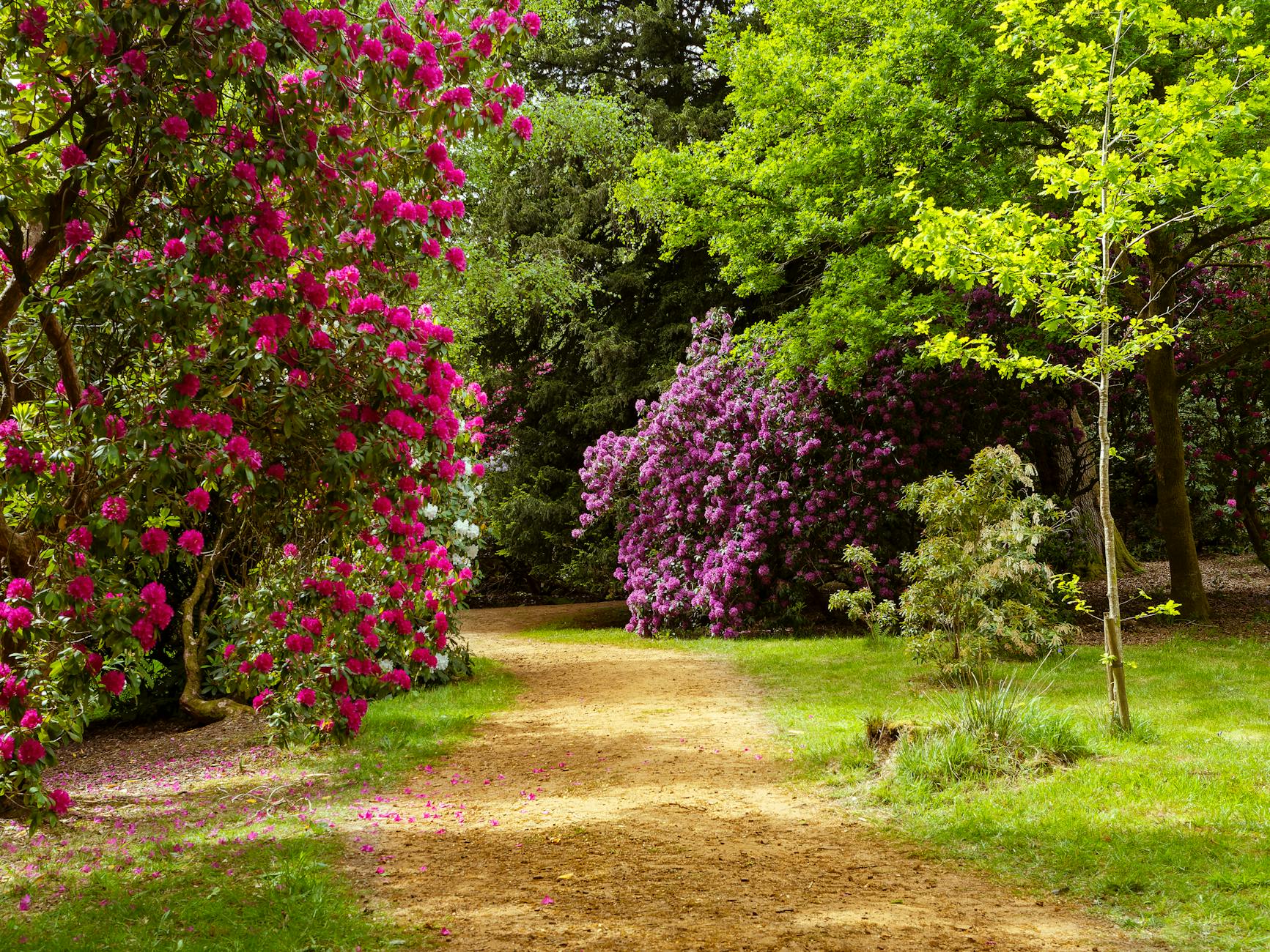 Botanical garden walking path with flowers