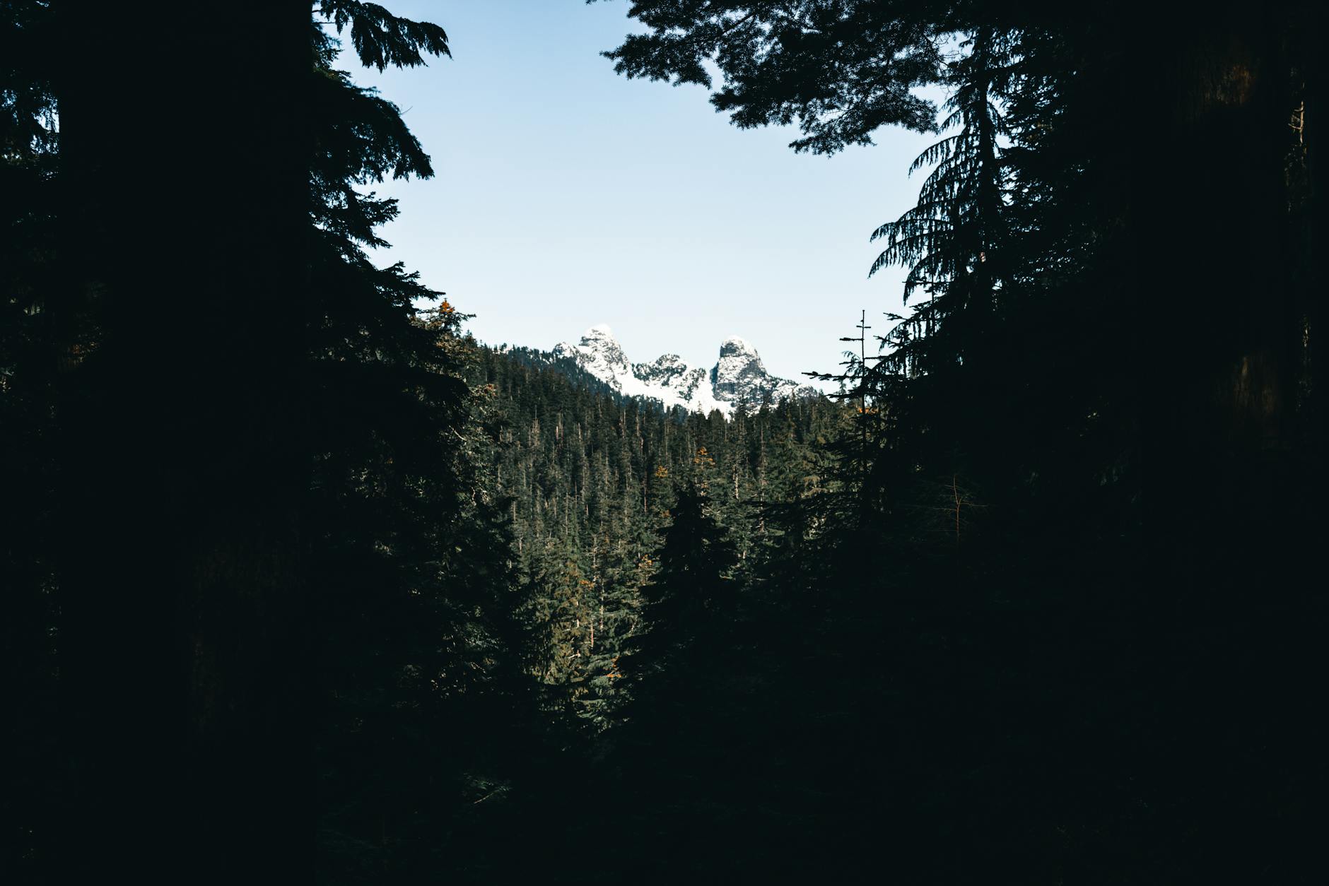 North Shore mountains forest