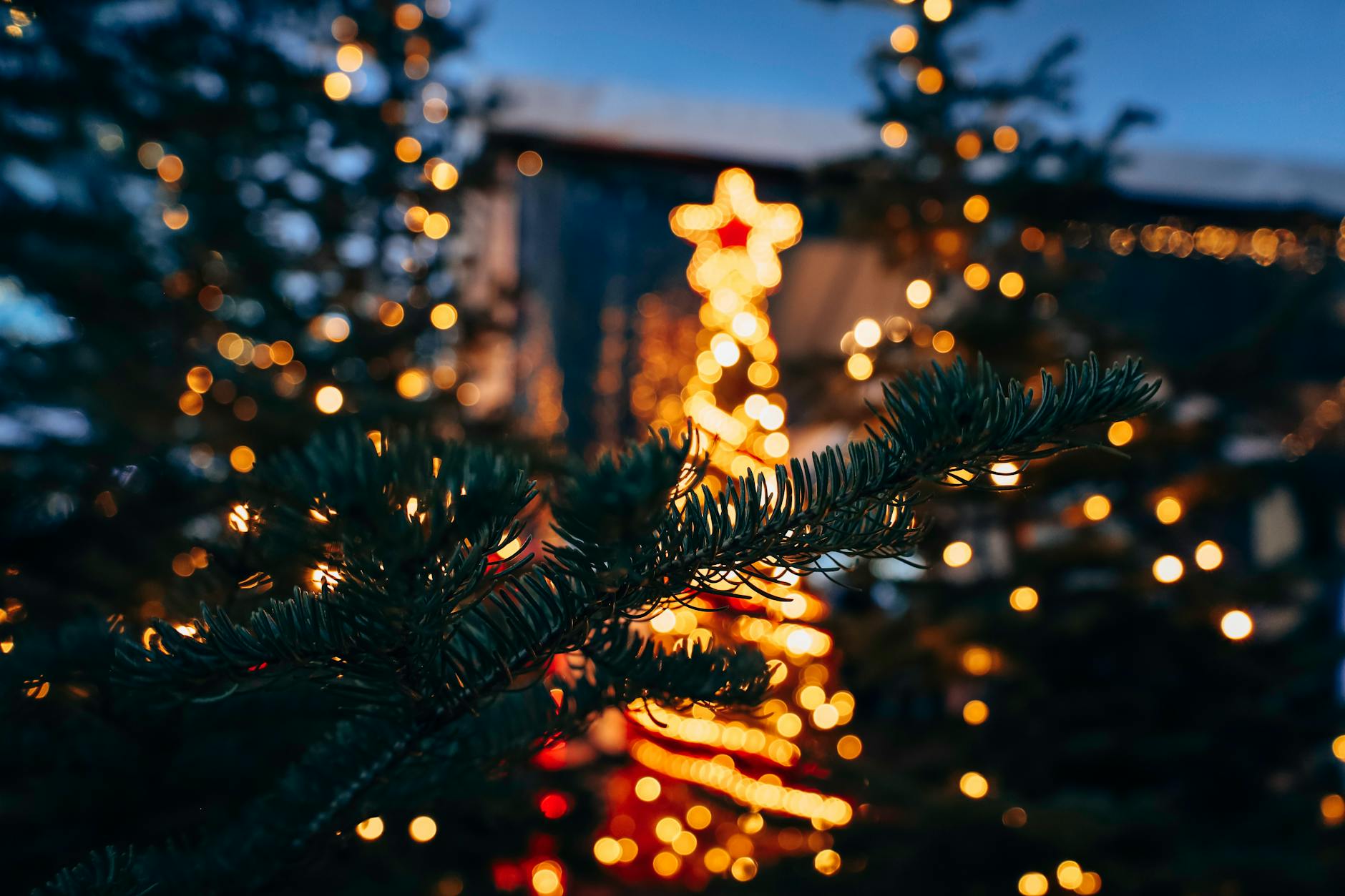 Winter December