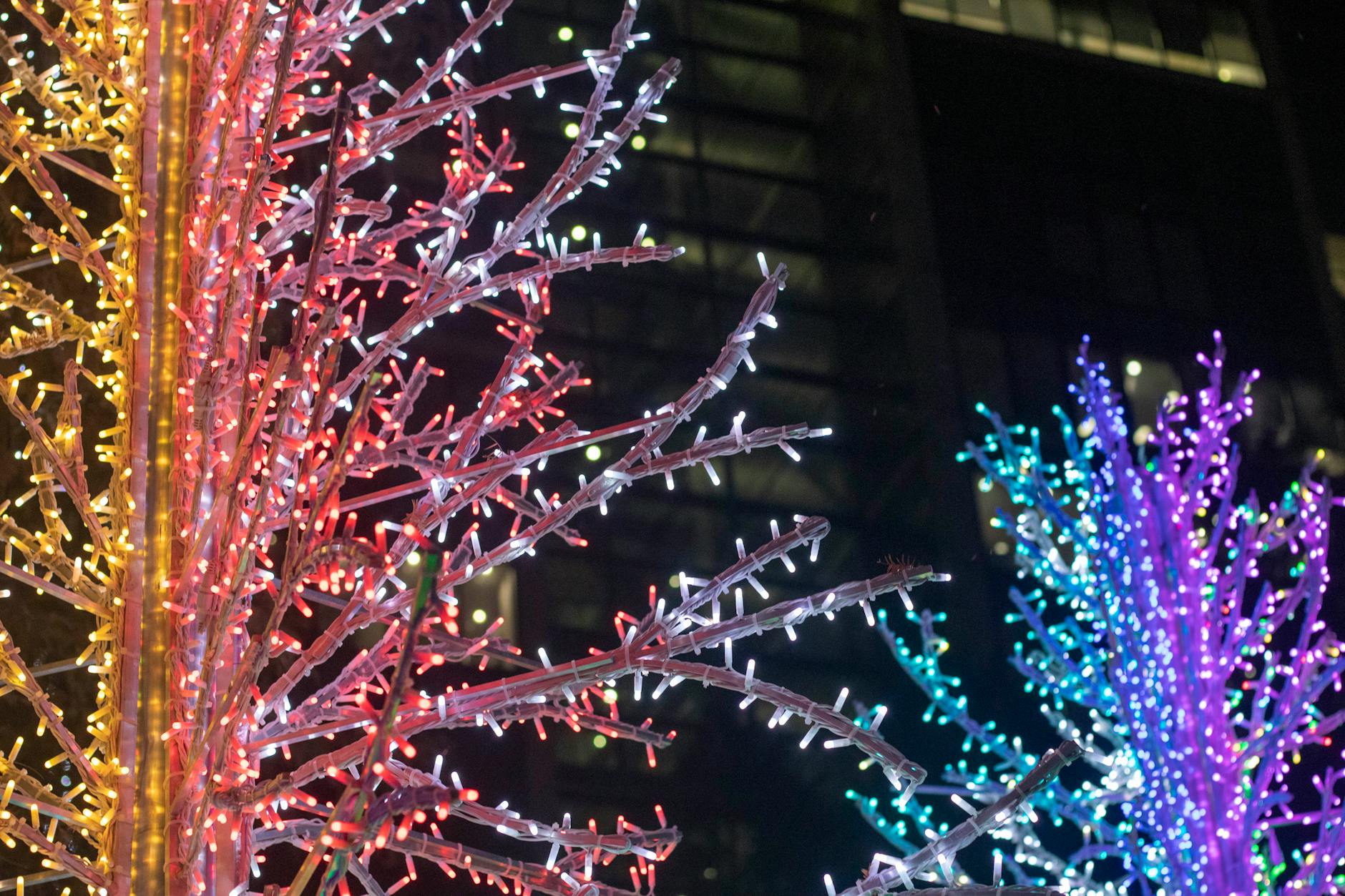 Winter Festive