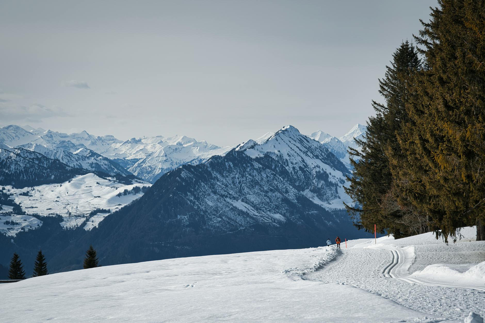 Winter mountain snow panoramic view