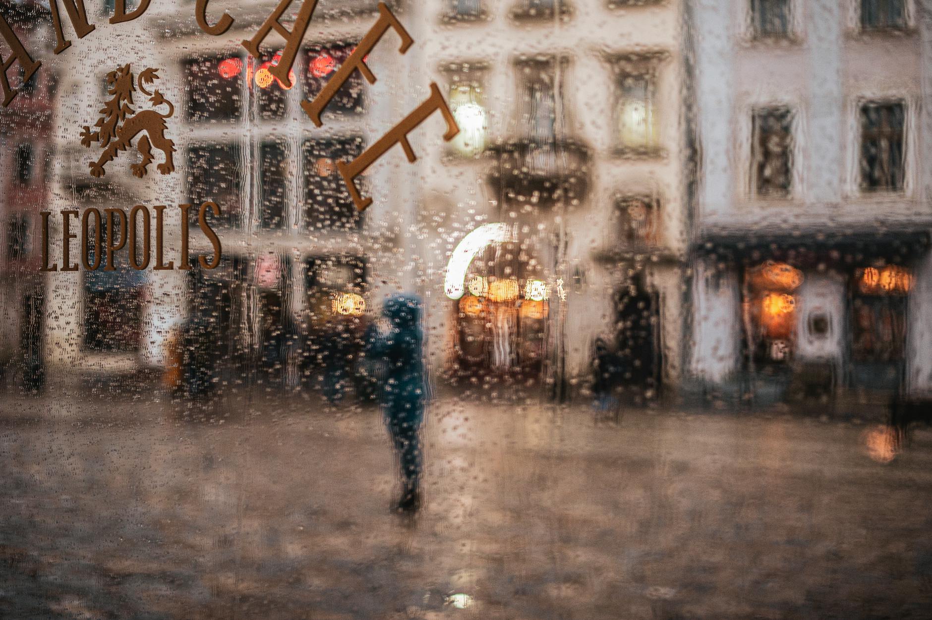 Winter Rainy Day