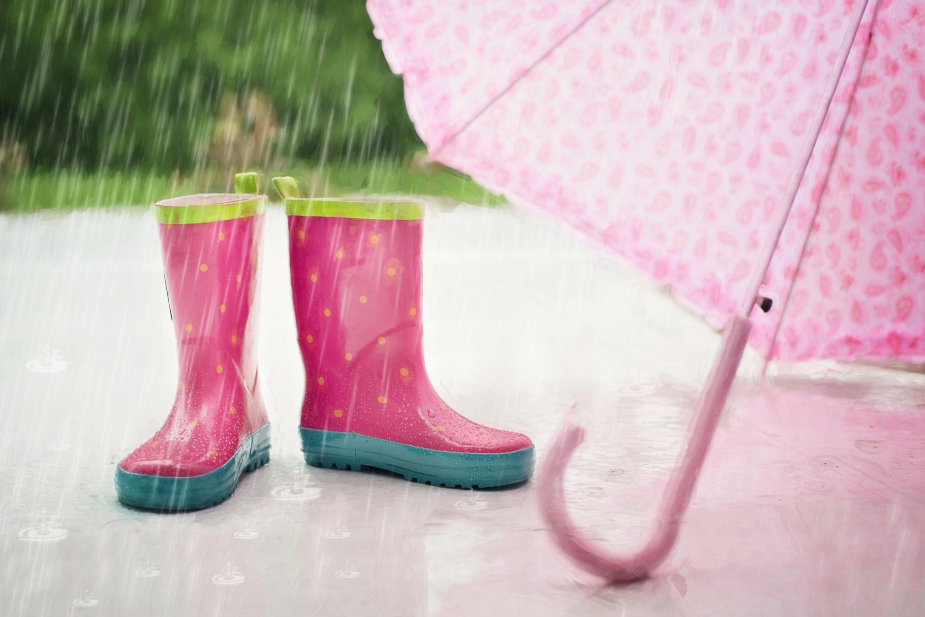 2D Rainy