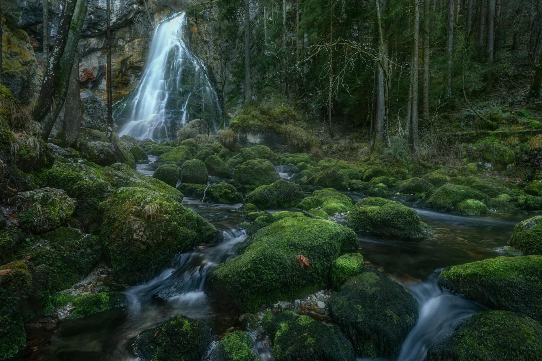 Eh Cypress Falls