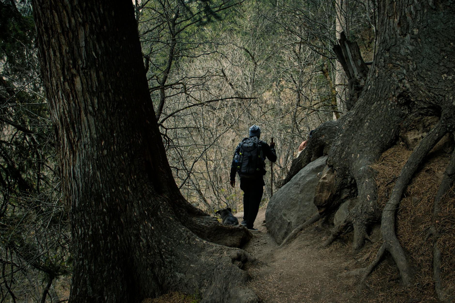Gg The Trail