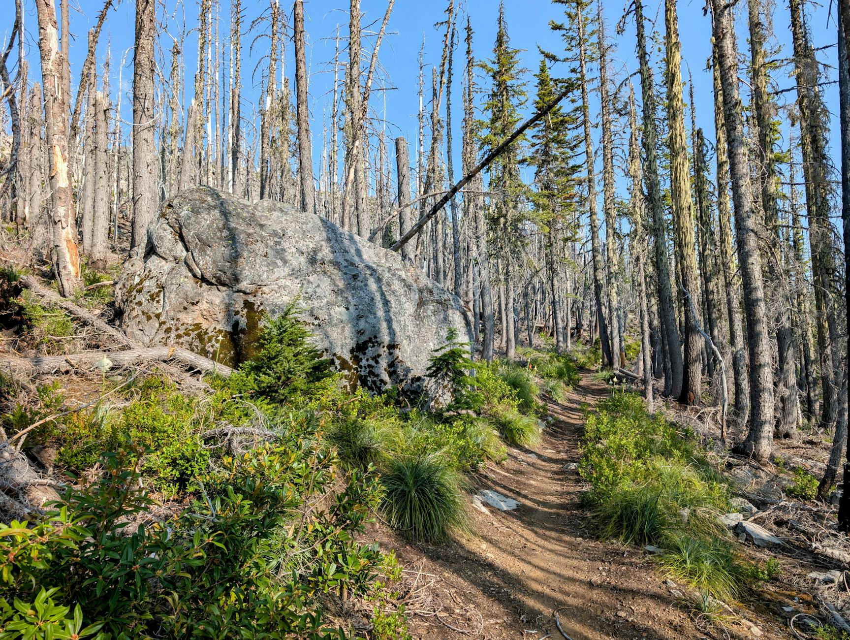 Easy Hikes Near Vancouver (Under 2 Hours) (2026)