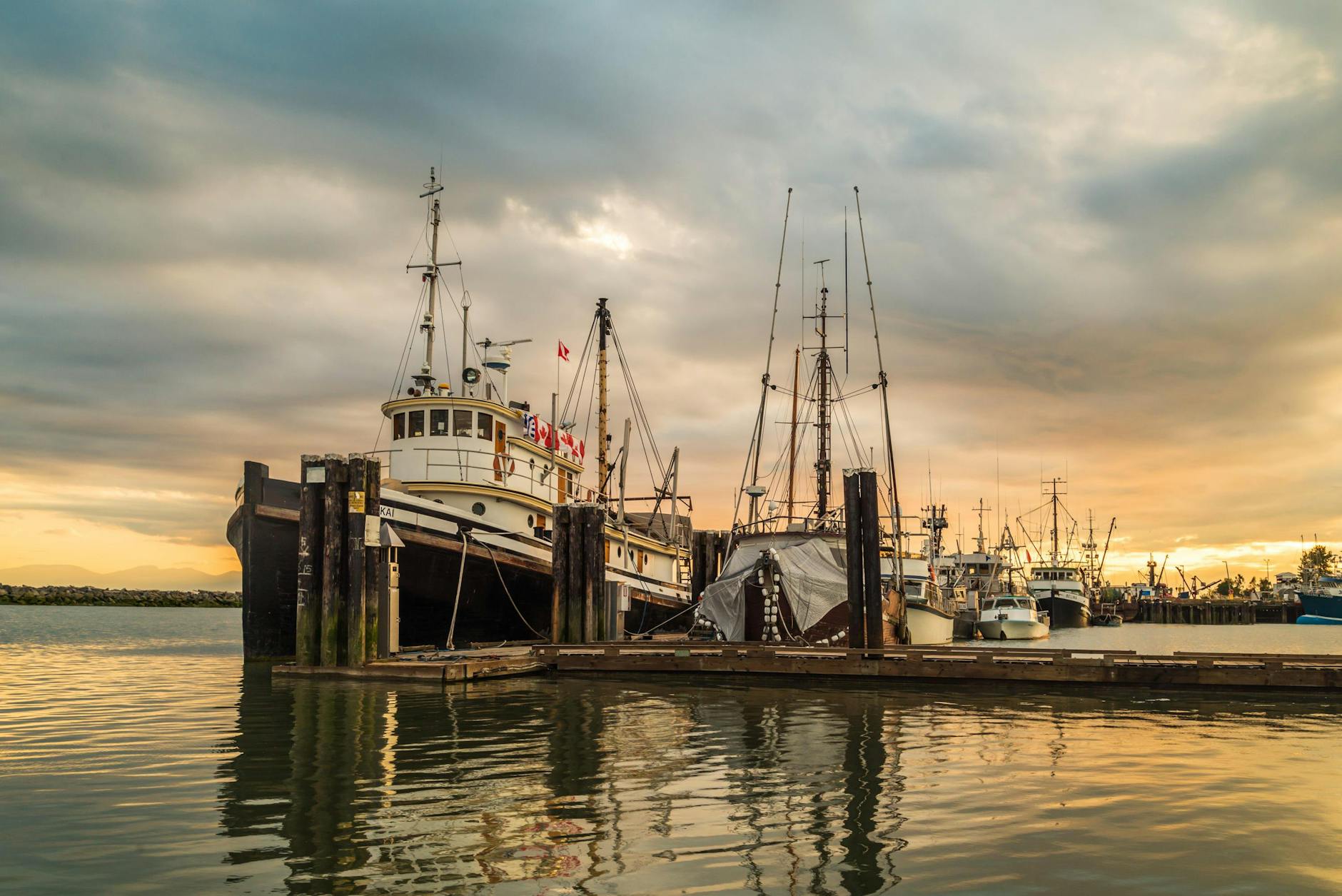 Hero Steveston