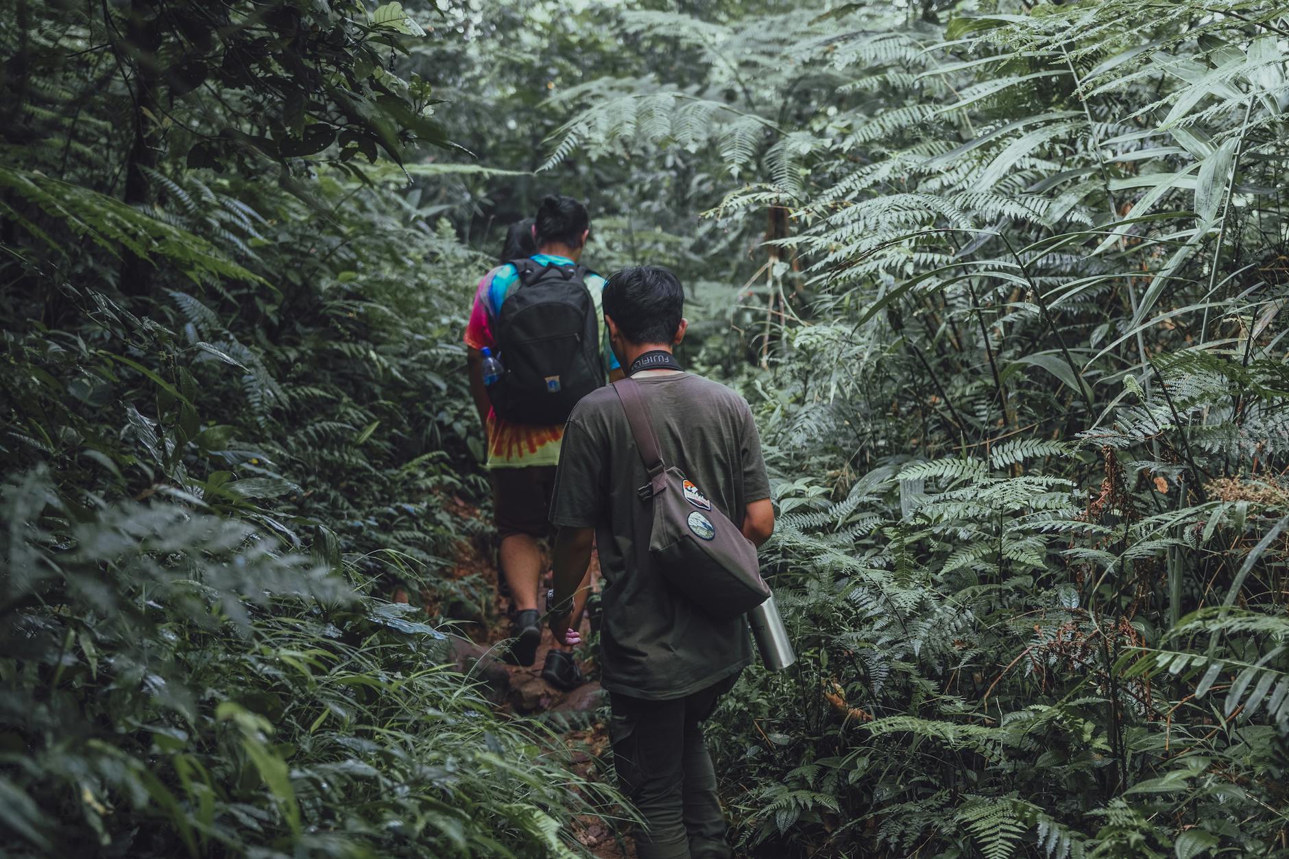 Lc Trails