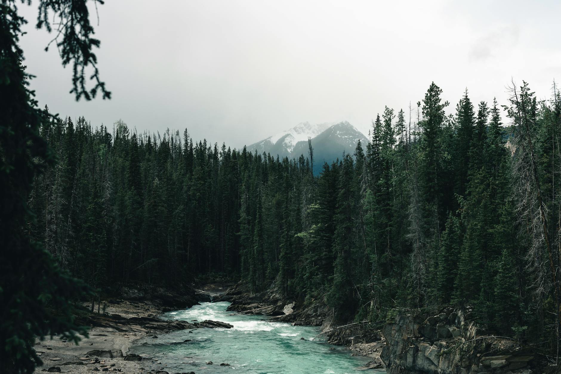 Lp Headwaters