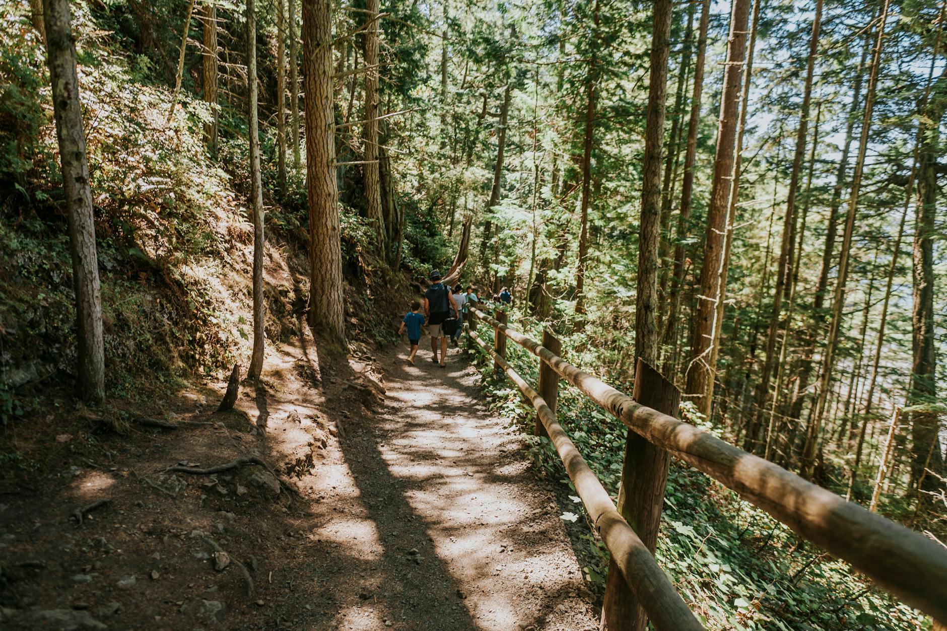 Lp Trails Easy