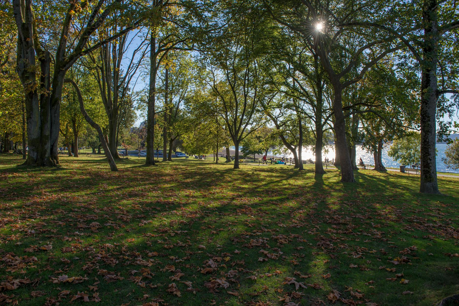 Stanley Park with Kids: The Family Playbook (2026)