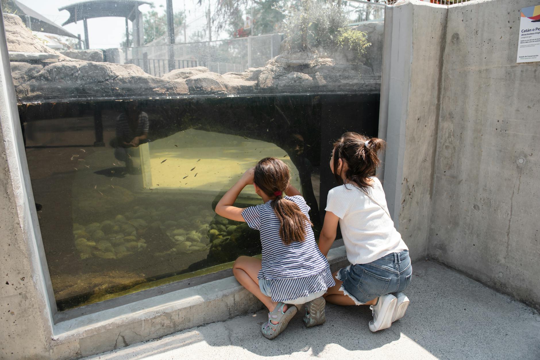 Vancouver Aquarium with Kids: Pro Family Tips (2026)
