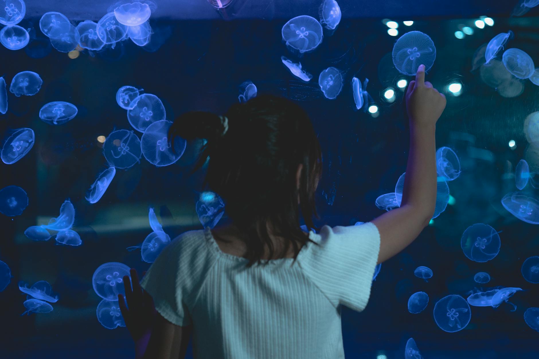 A child in a white shirt observes jellyfish in an aquarium, pointing with curiosity.