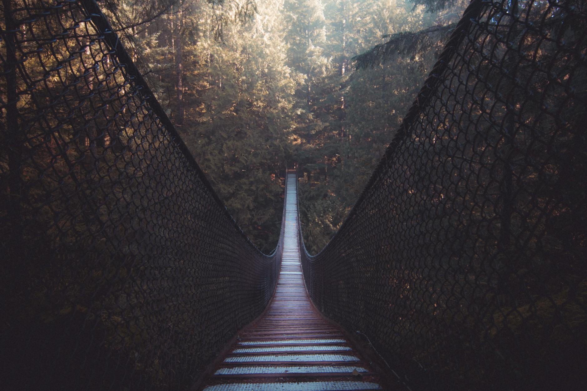 Lynn Canyon suspension bridge in North Vancouver against scenic rainforest landscape on sunny day