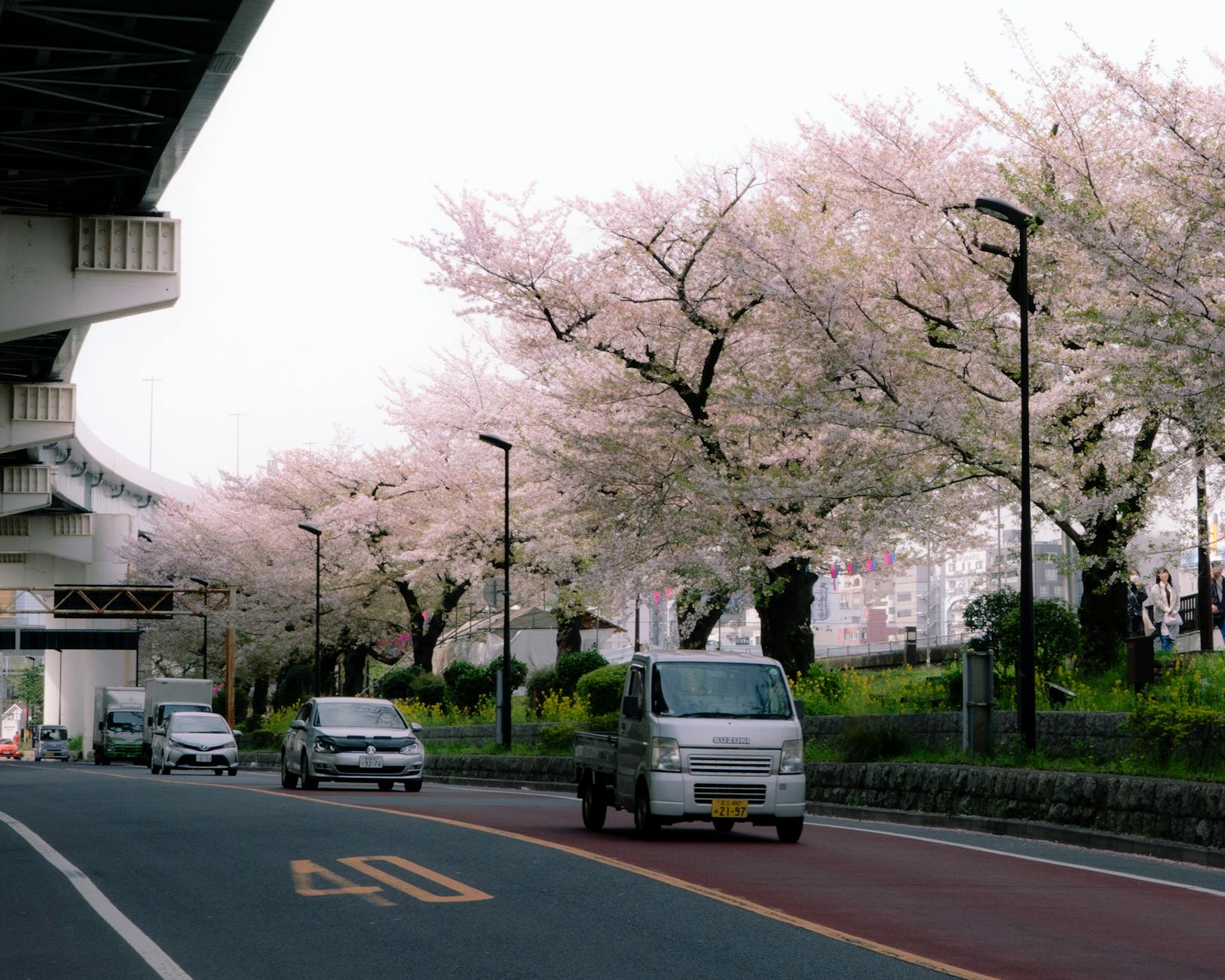 Vancouver Cherry Blossom Festival: A Complete Guide (2026)