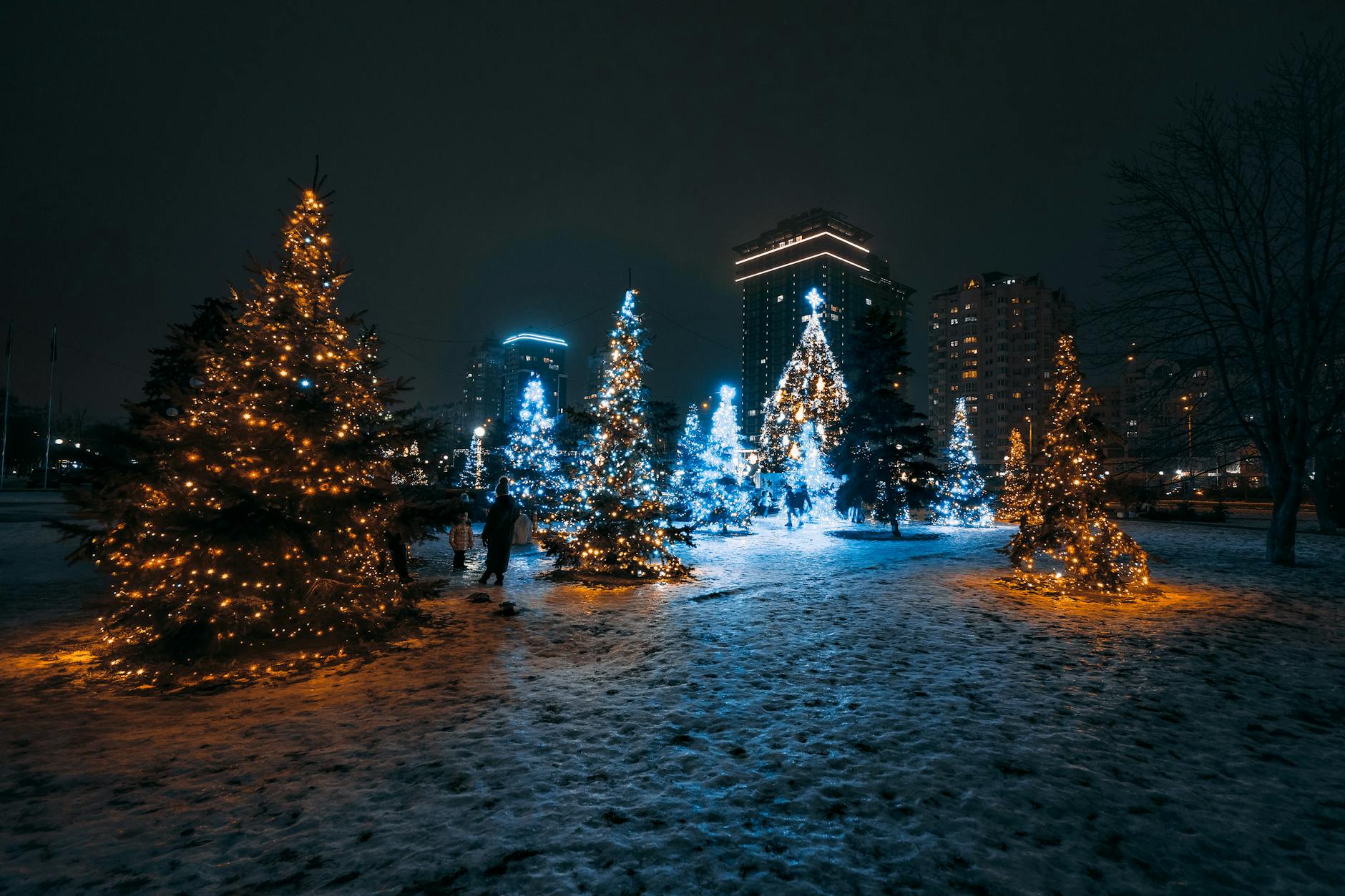 Bright Nights in Stanley Park: Train & Lights Festival (2026)