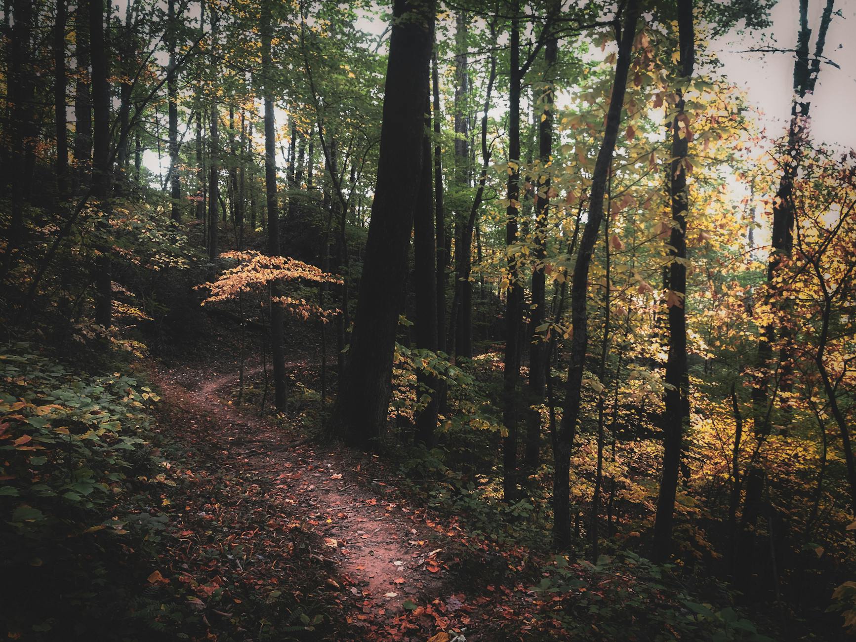 Ps Seasons