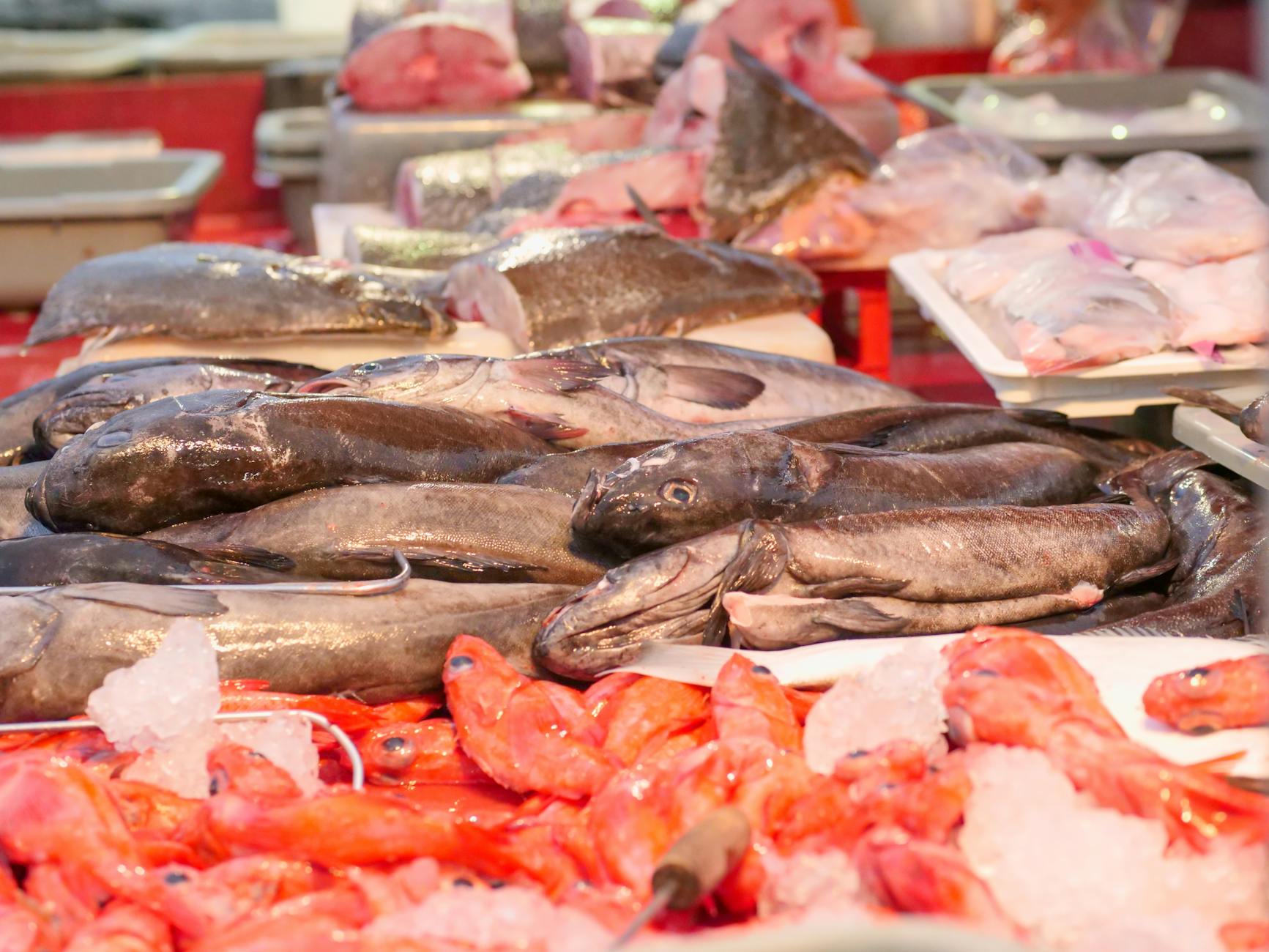 Sf Markets