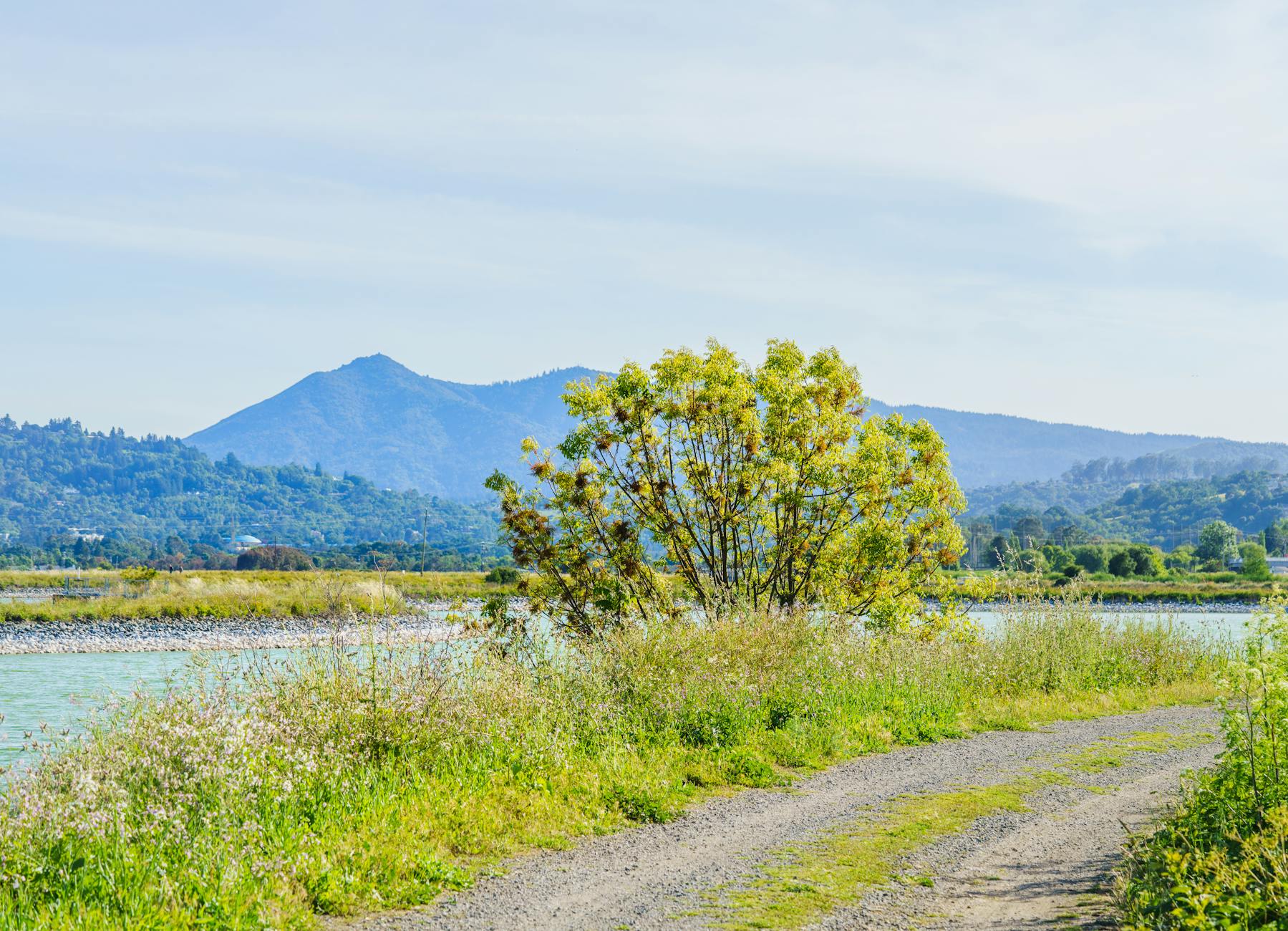 St Dyke Trail