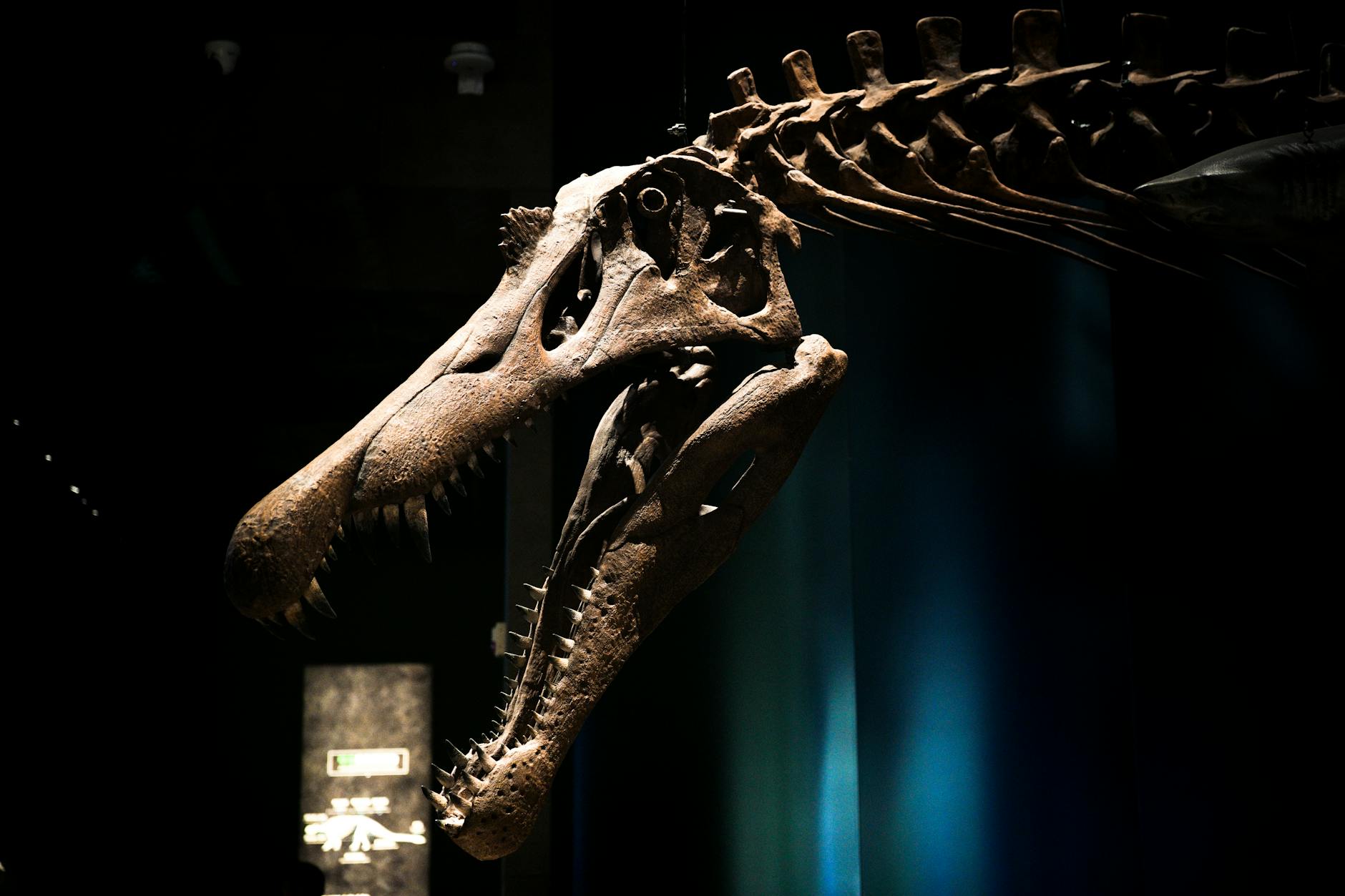 Vic Museum