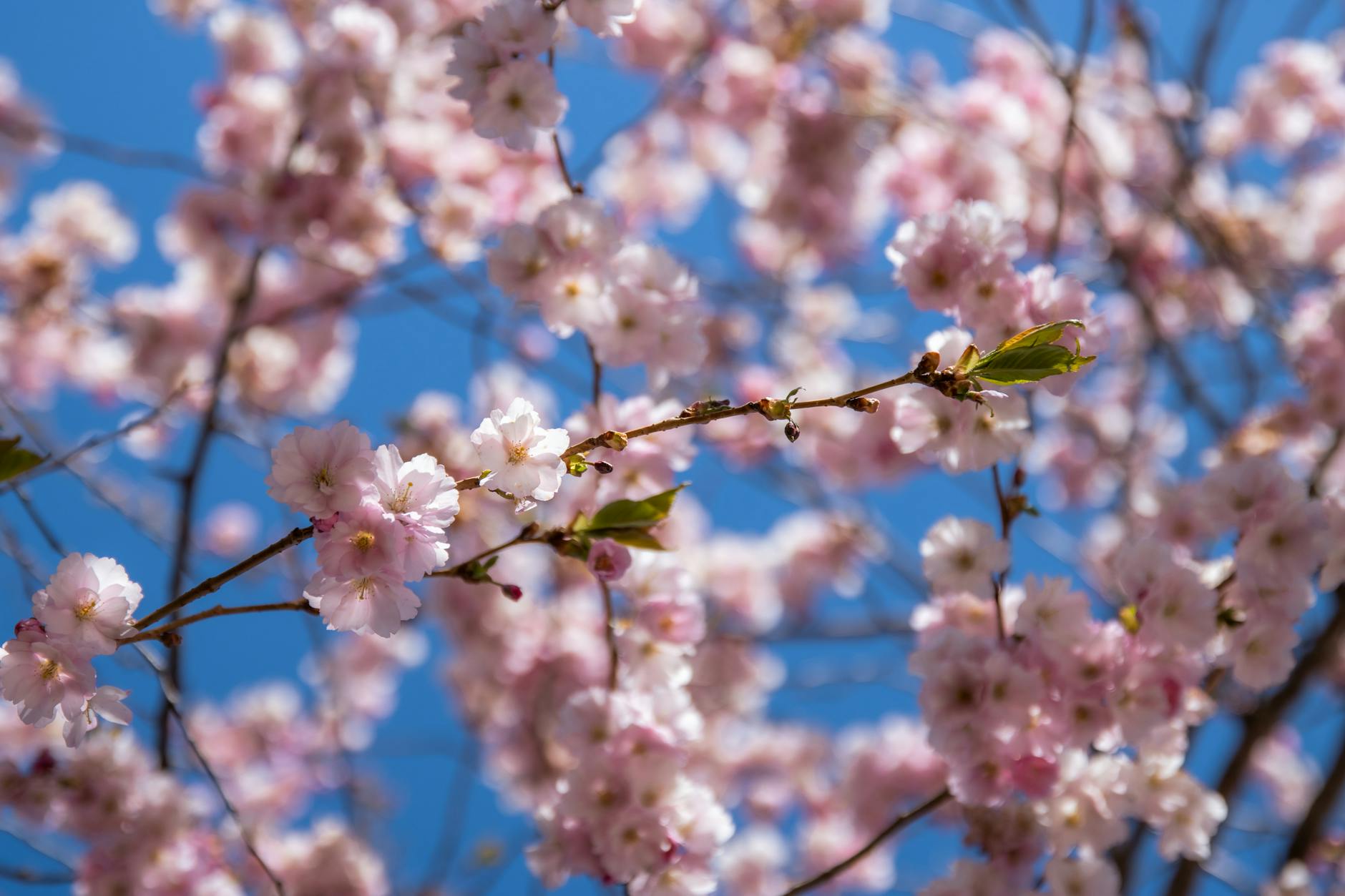 Weather April