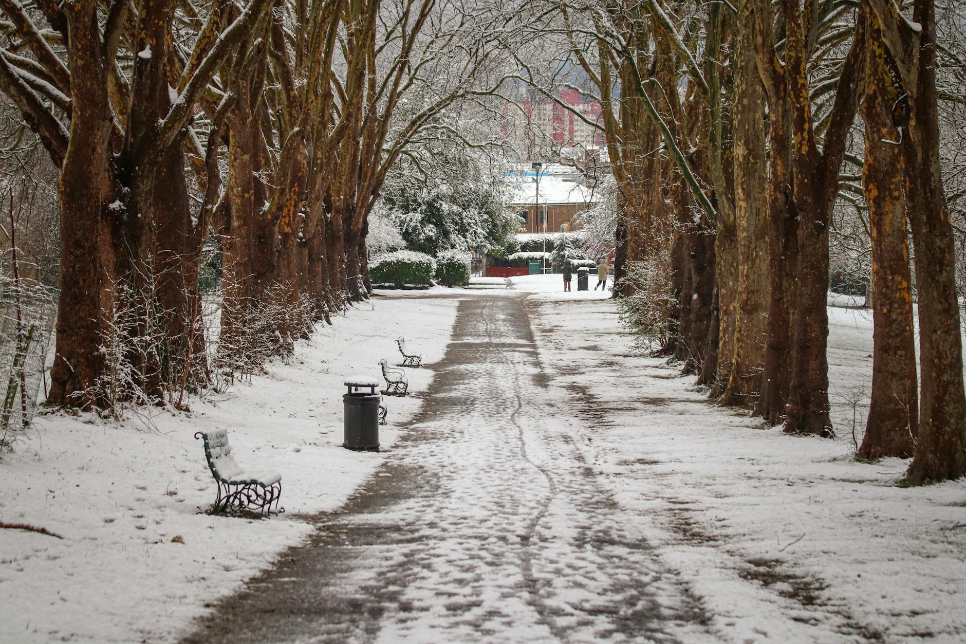 Weather January