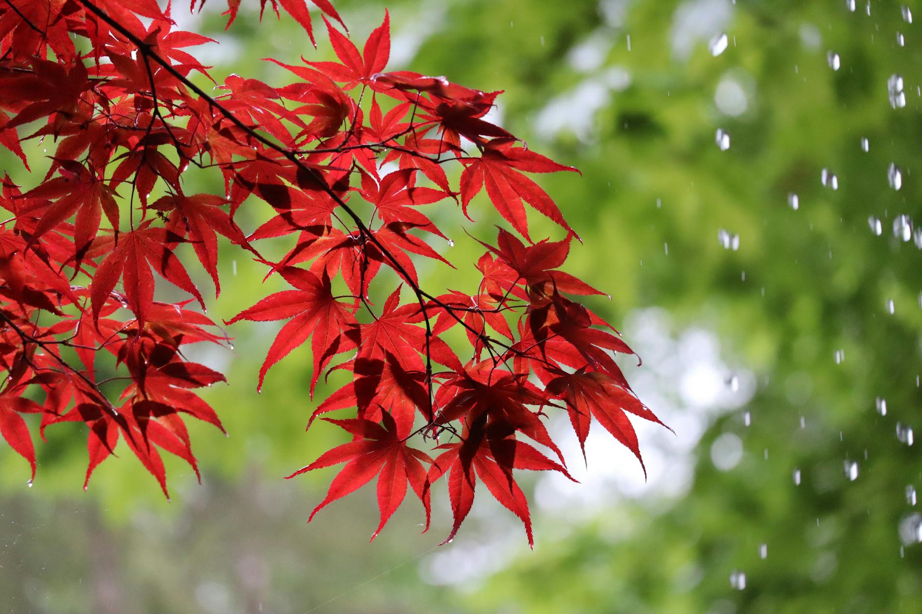 Weather October