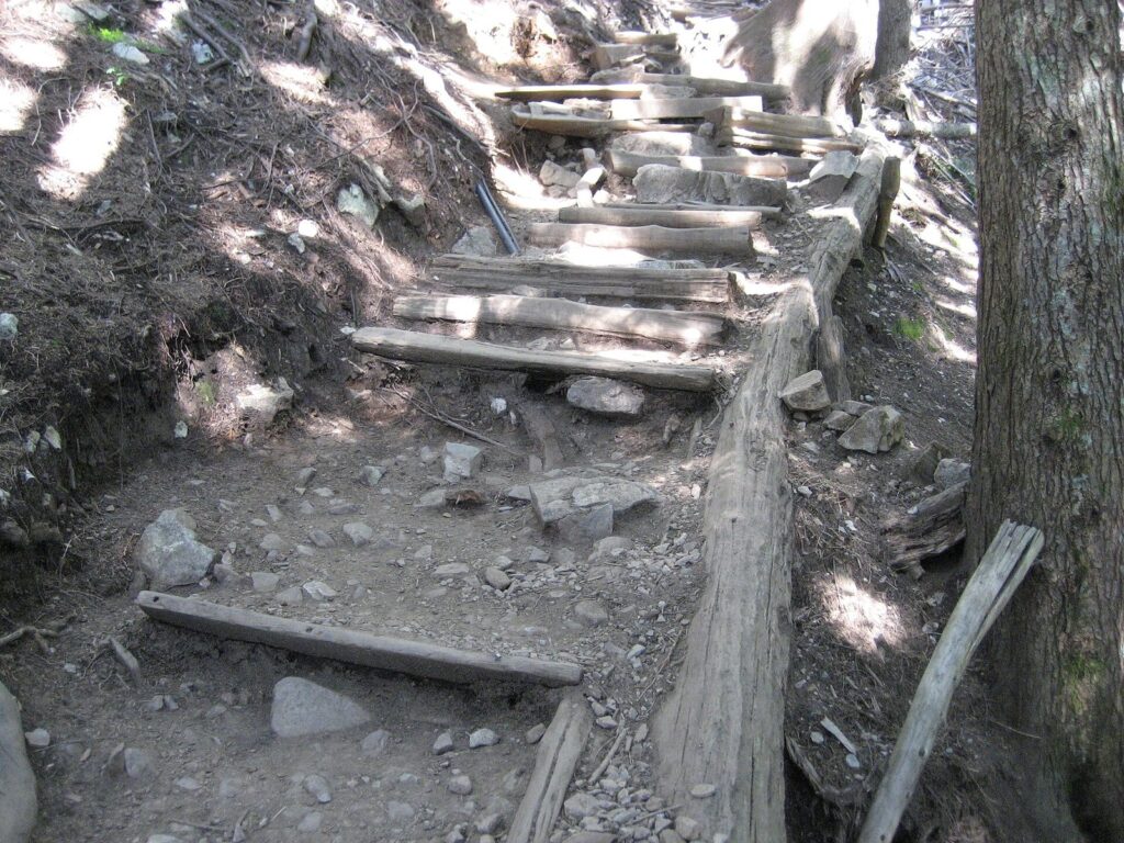 Steep wooden steps and tree roots on the Grouse Grind trail through the forest