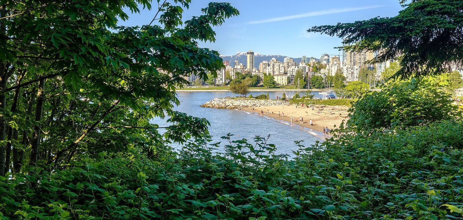 Kitsilano Beach and English Bay framed by trees, with the downtown Vancouver skyline beyond