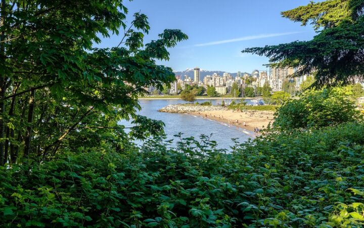 Vancouver Neighbourhoods: A Local’s Guide to Every District