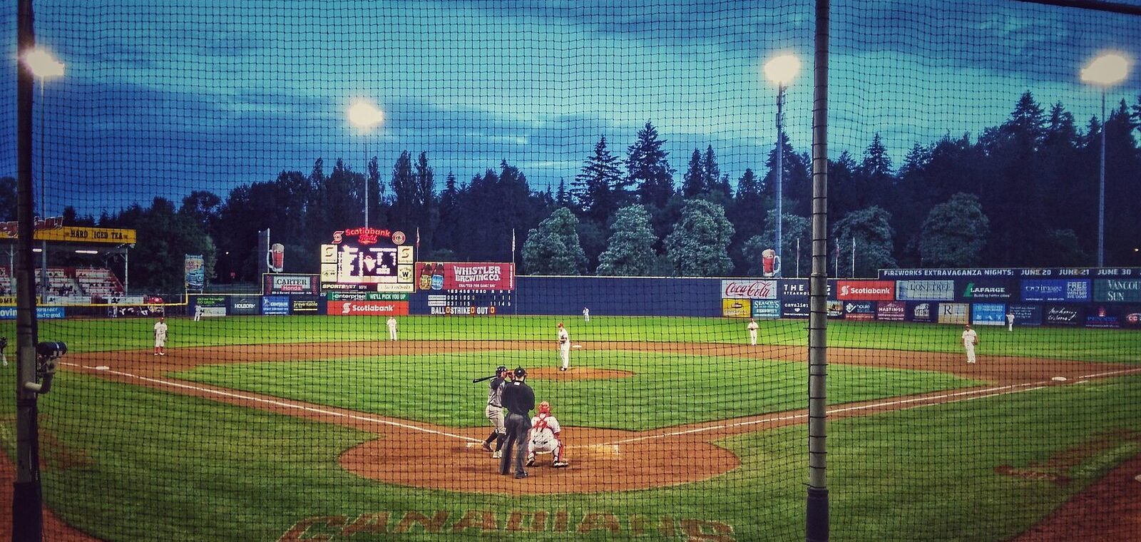 View from behind home plate at Nat Bailey Stadium at dusk, the lights on and tall trees beyond the outfield