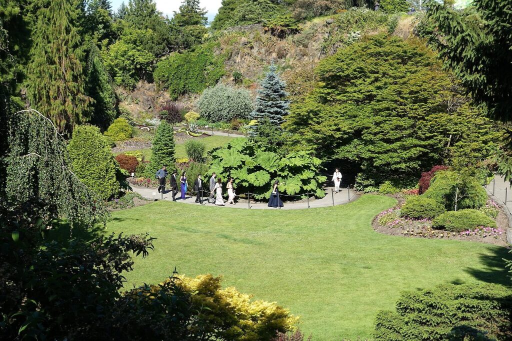 Lawns, paths and flowering shrubs in the sunken Quarry Garden at Queen Elizabeth Park