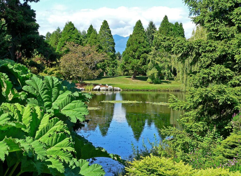 Pond reflecting evergreen trees and lawns at VanDusen Botanical Garden